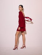 Red Velvet Joelle Mini Dress